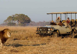 Chobe National Park Wildlife