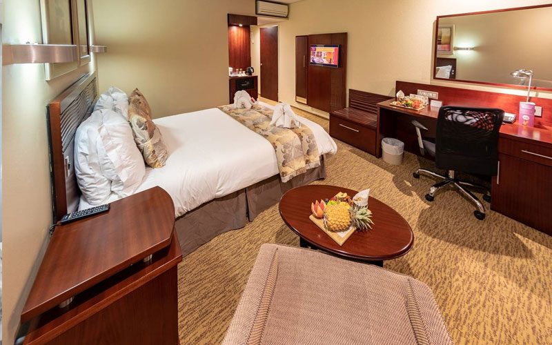 Single Room