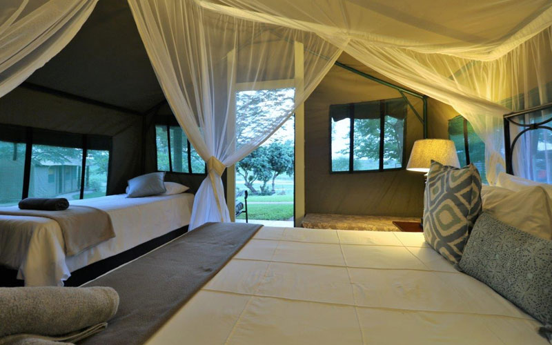 Single Room