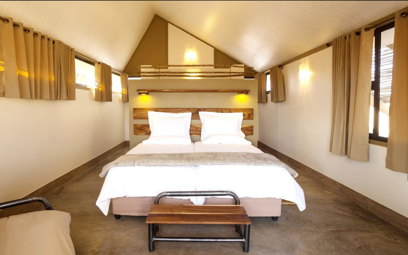 Desert Quiver Camp