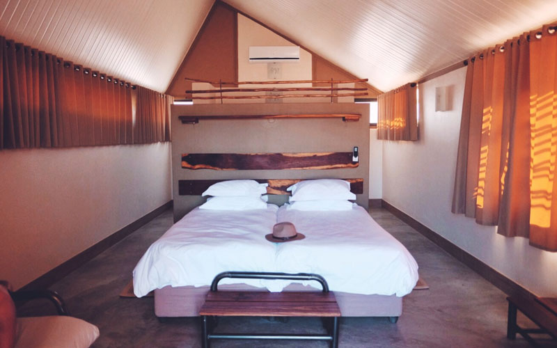 Desert Quiver Camp