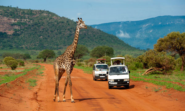 11 Days Discover Africa