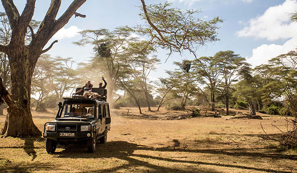 9 Days Highlights Of Tanzania Tour