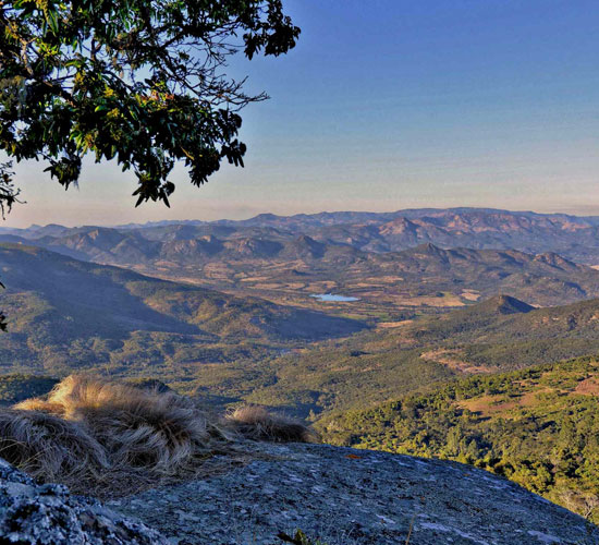 Vumba Mountains