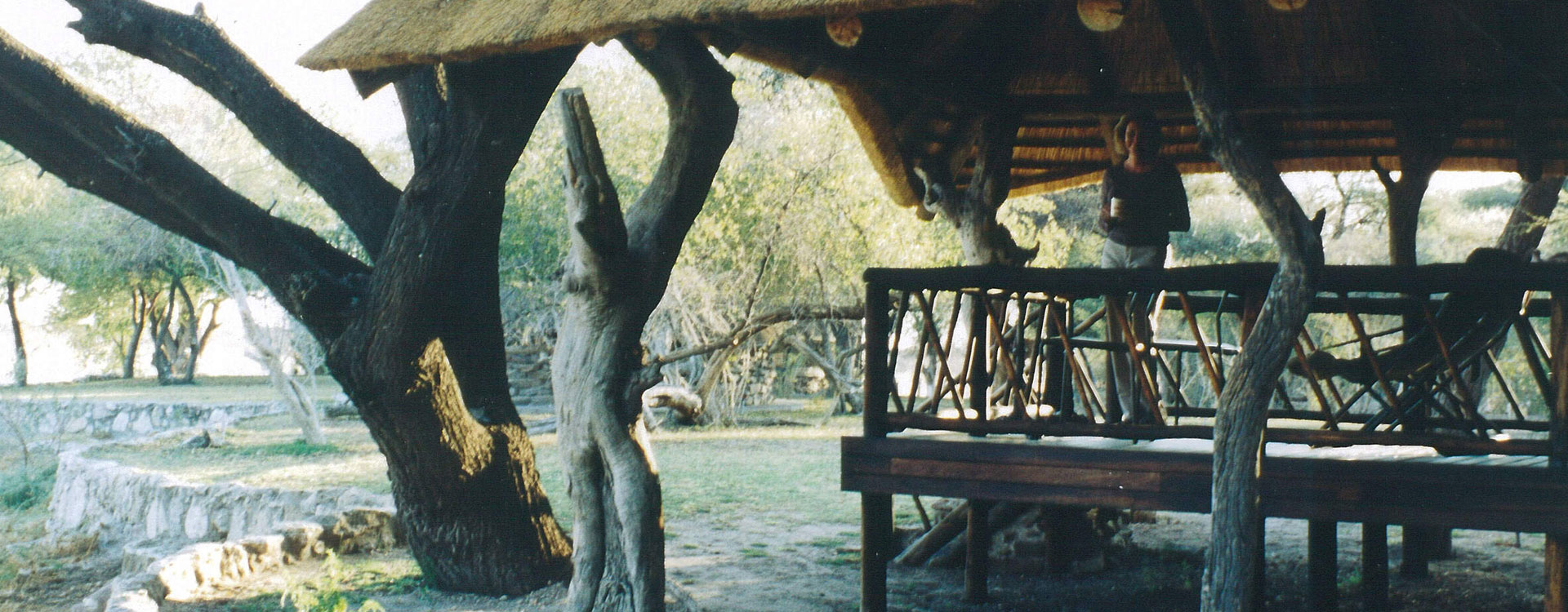 Edo's Camp