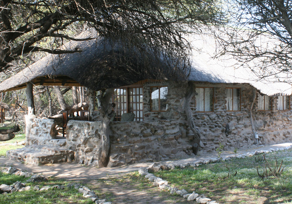Edo's Camp