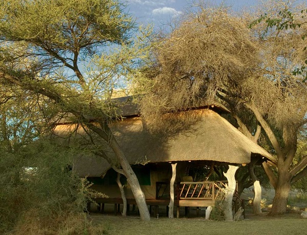 Edo's Camp