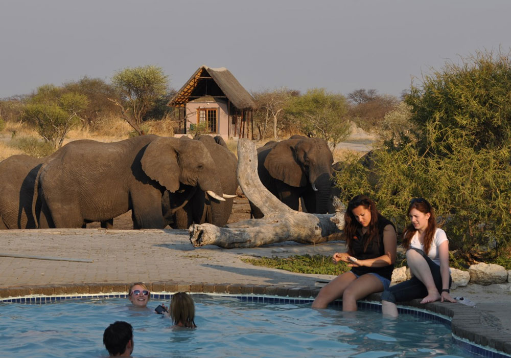 Elephant Sands Lodge
