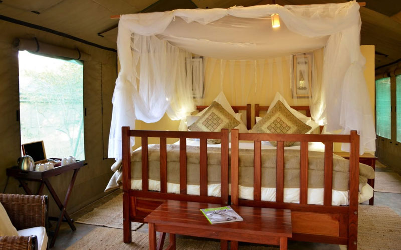 Elephant Valley Lodge
