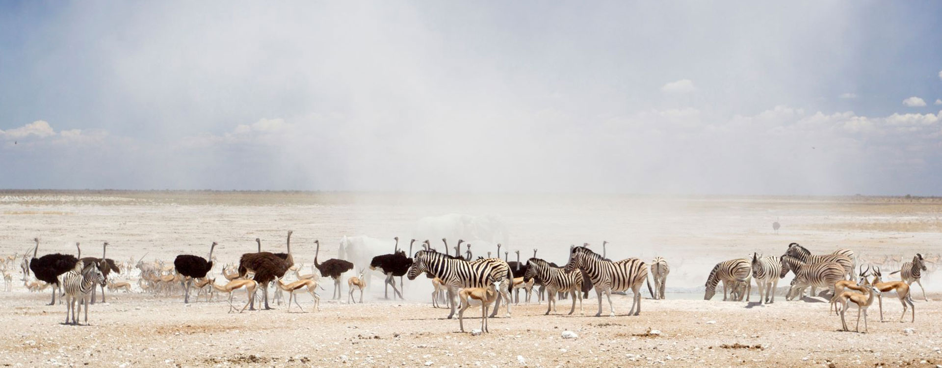 Etosha National Park