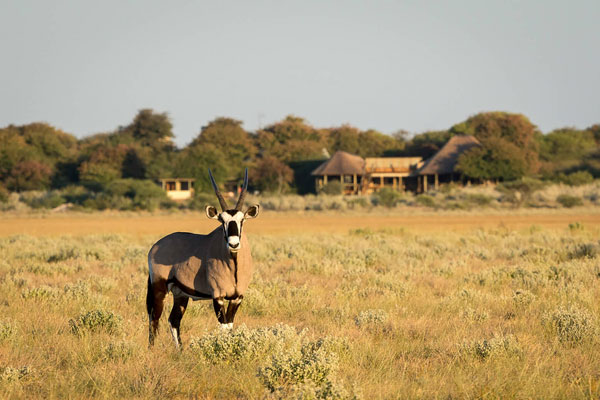 Kalahari Central