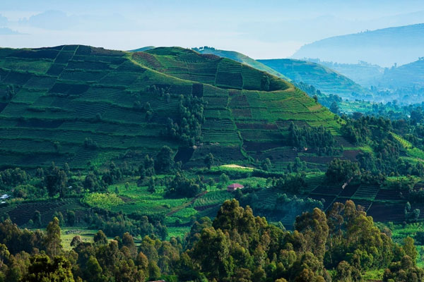 Uganda