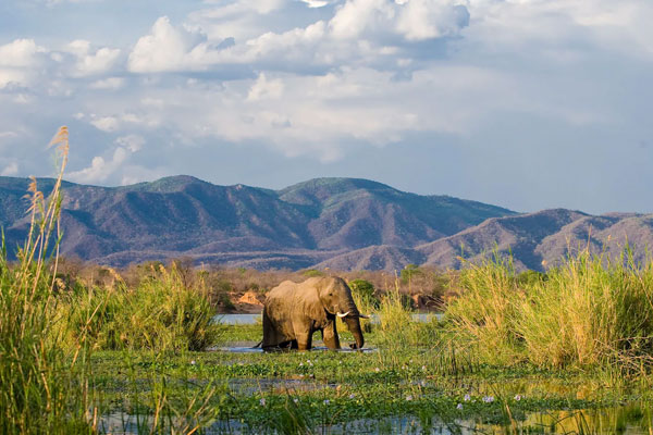 Lower Zambezi