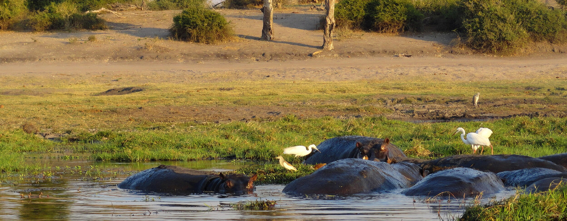Chobe National Park