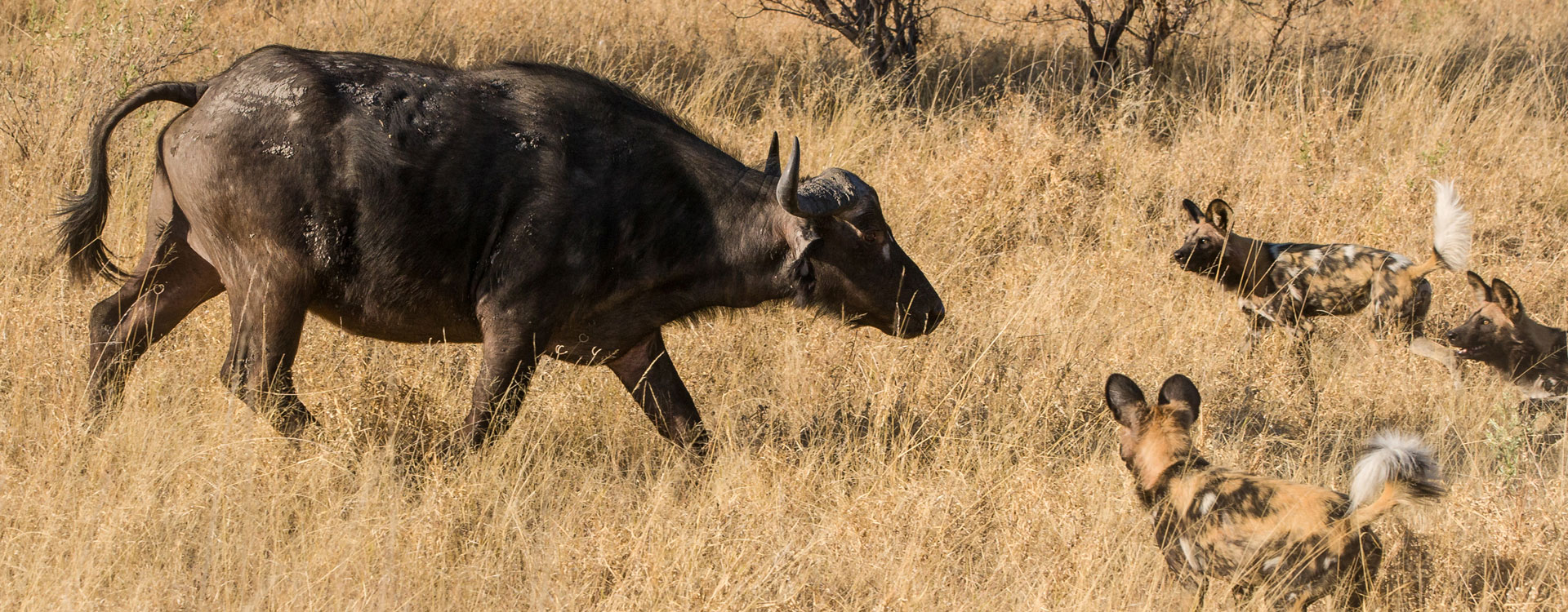 Liuwa National Park