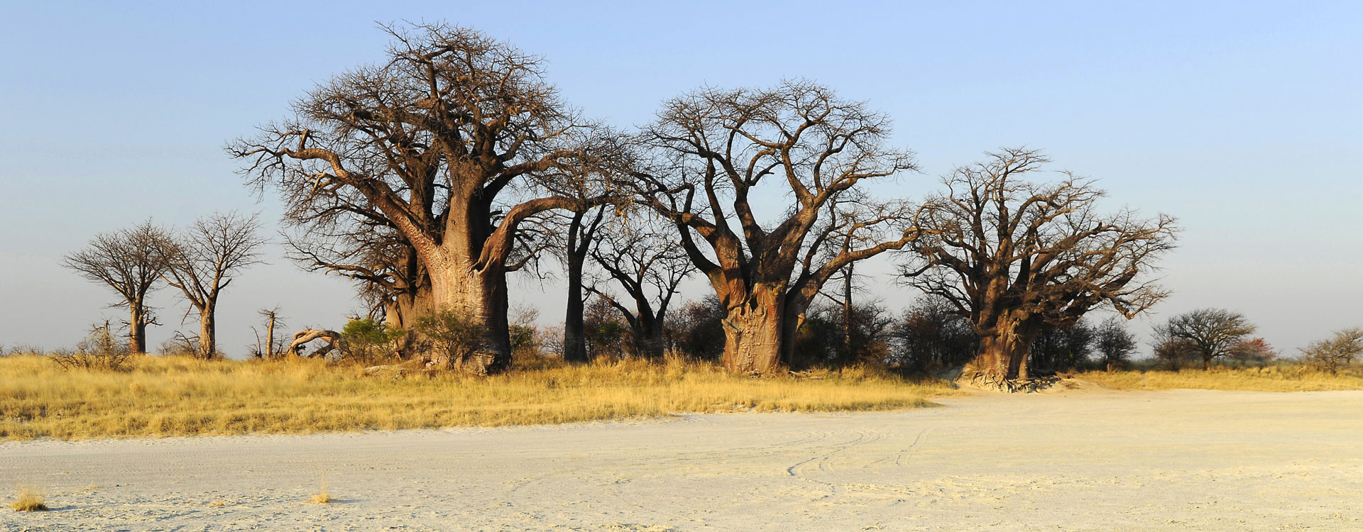 Makgadikgadi Salt Pans