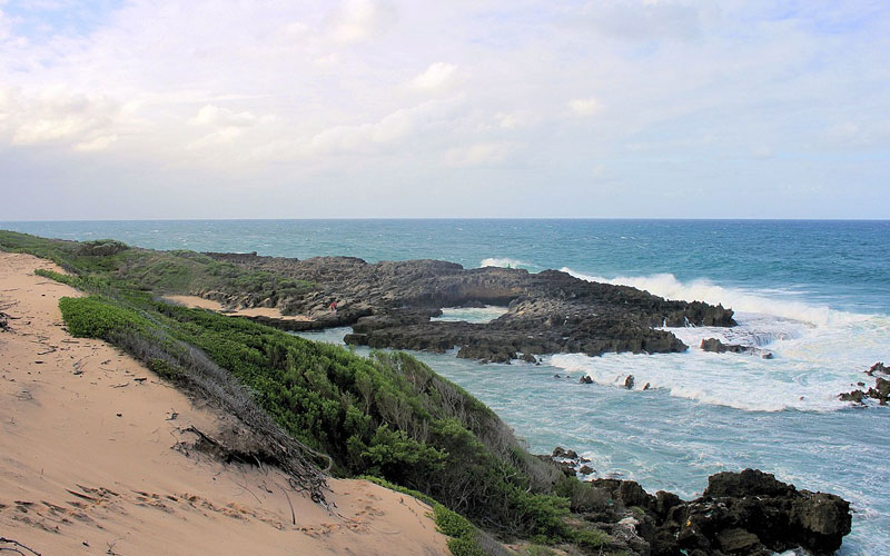 Mozambique Destinations - Falcon Safari