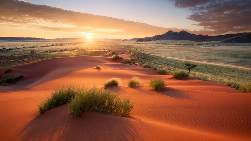 Namibia Destinations - Falcon Safari