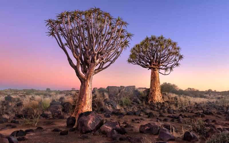 Cimate - Namibia Destinations