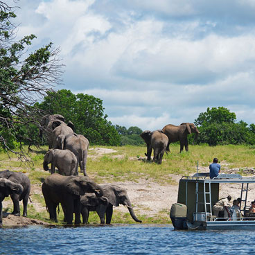 11 Day Discover Africa