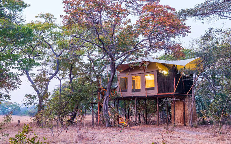 Fig Tree Bush Camp