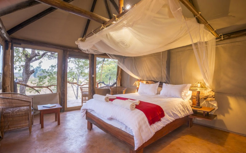 Fig Tree Bush Camp
