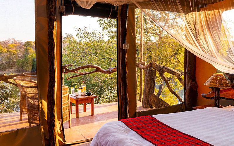 Fig Tree Bush Camp