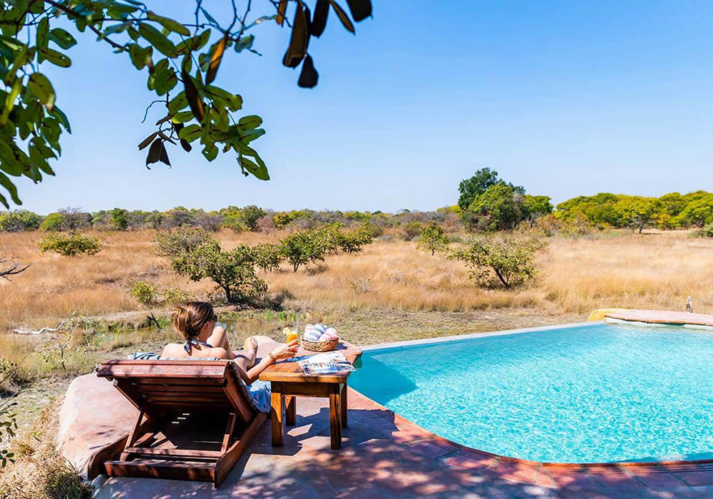 Fig Tree Bush Camp