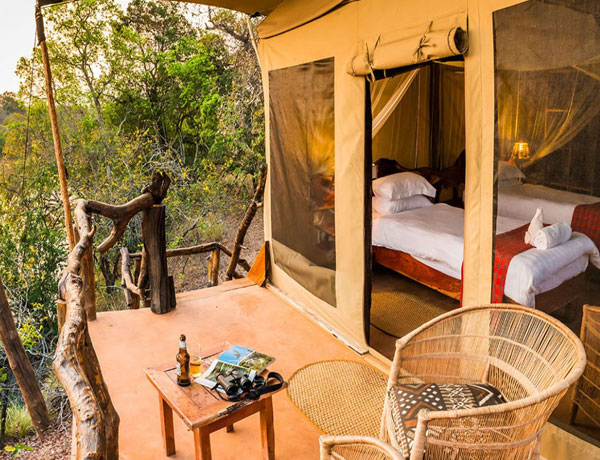 Fig Tree Bush Camp