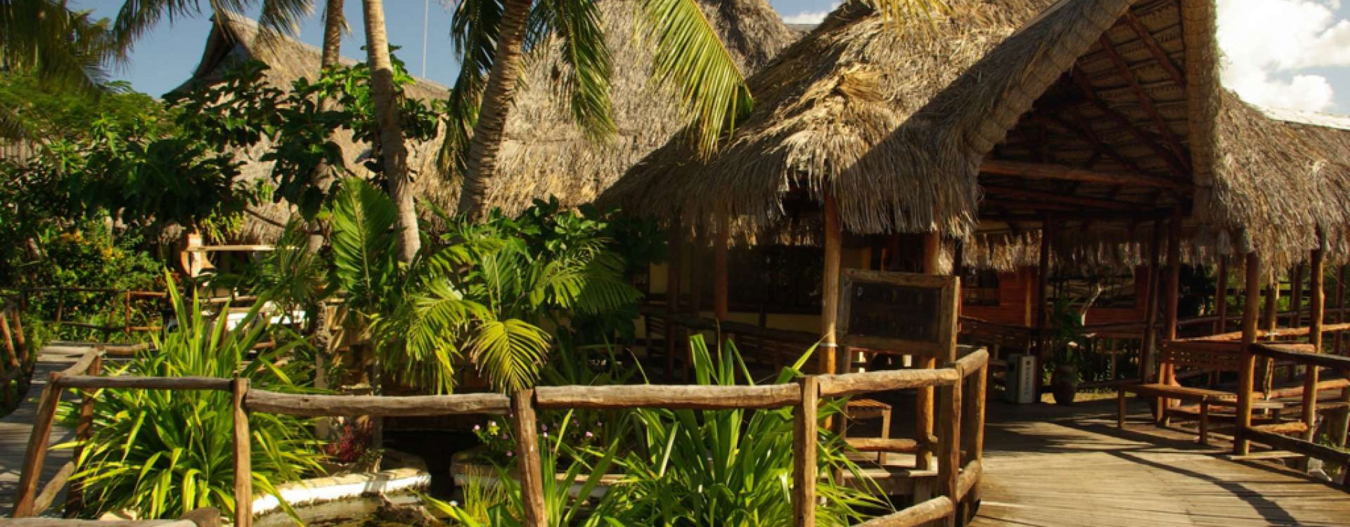 Flamingo Bay