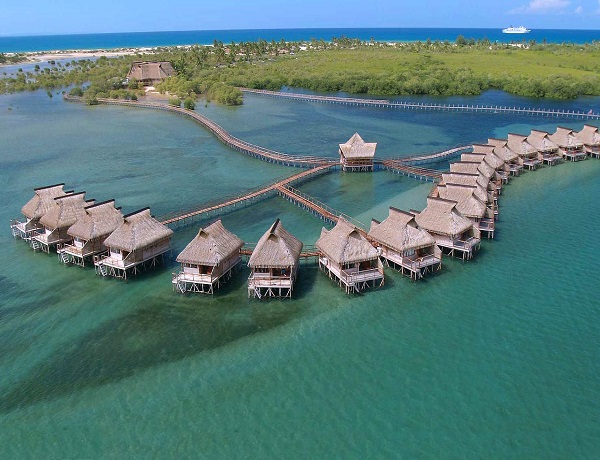 Flamingo Bay