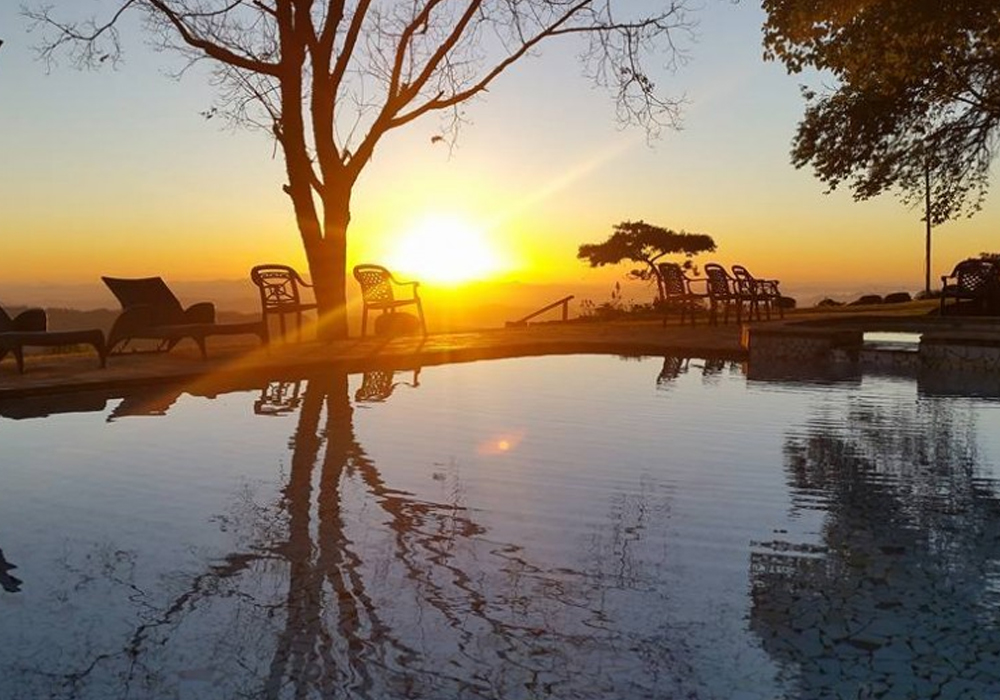 Forest Hills Resort