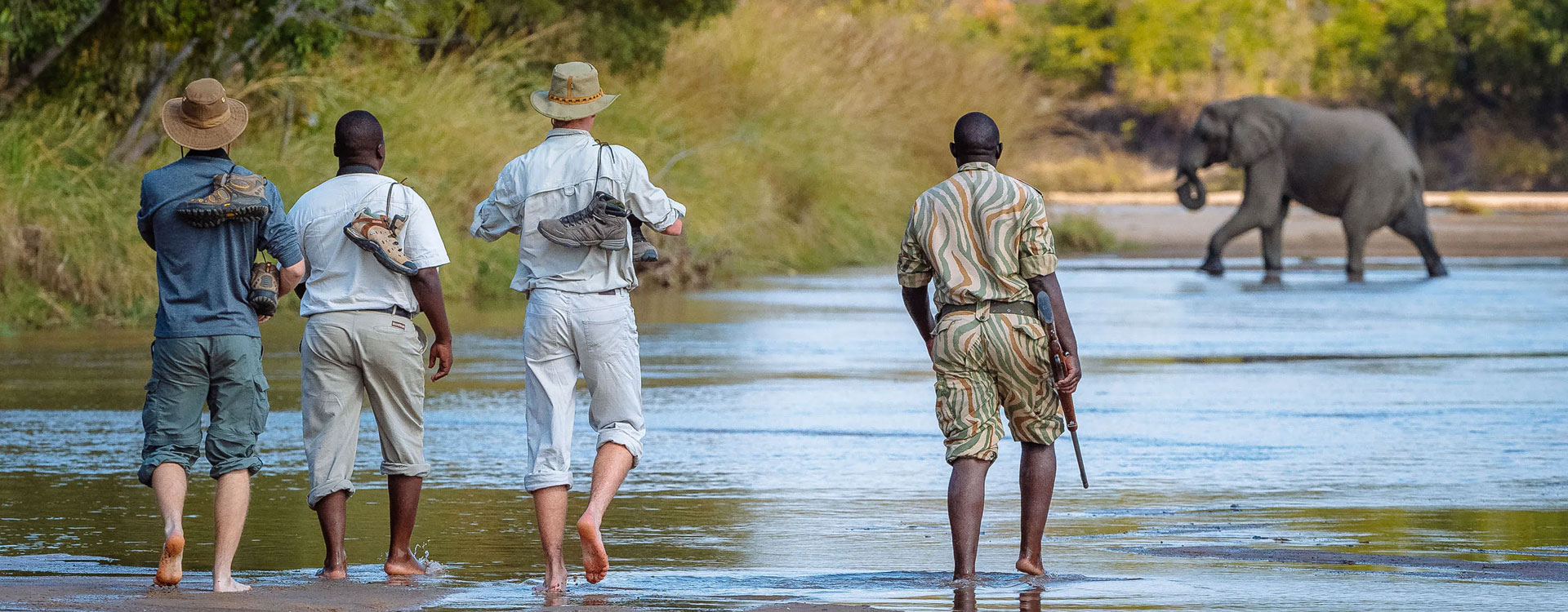 Full Day Safari to South Africa
