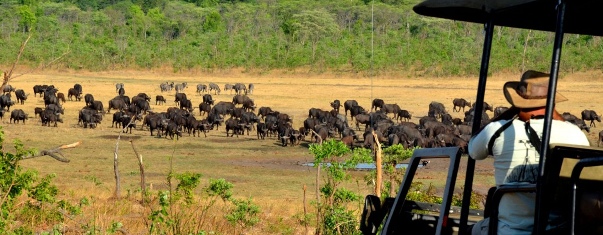 Victoria Falls Game Drive
