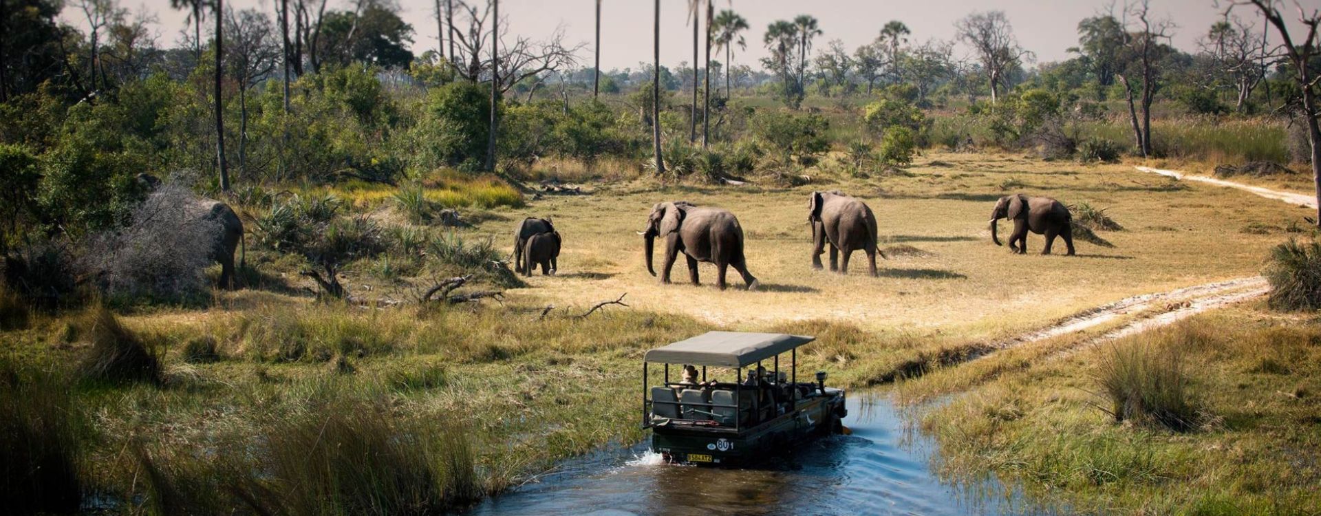 Getting To Chobe National Park