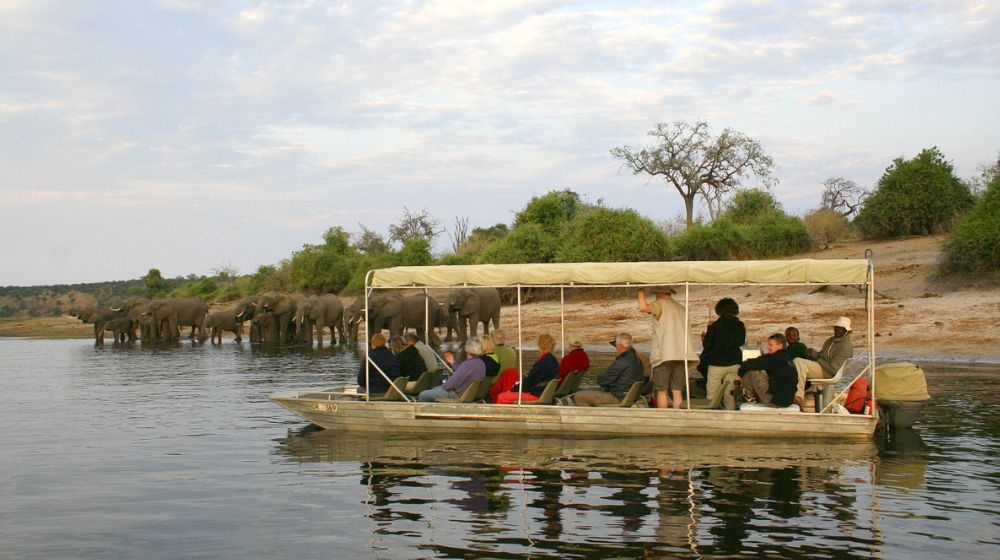 Getting To Chobe National Park