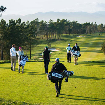 9 Day Golf Safari