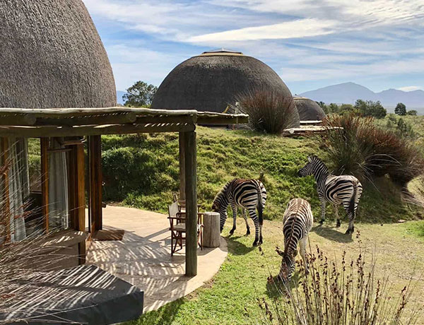 Gondwana Lodge
