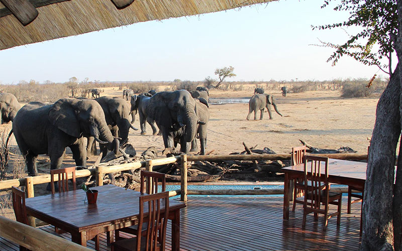 Gwango Elephant Lodge