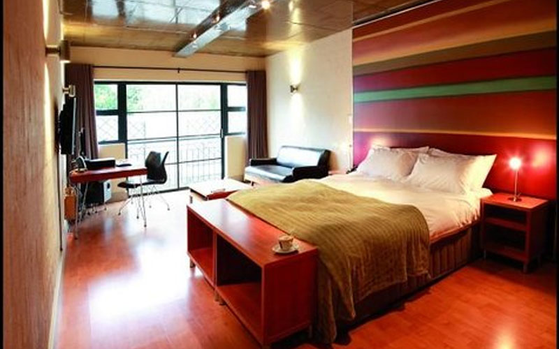 The Hippo Suite