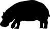 hippo