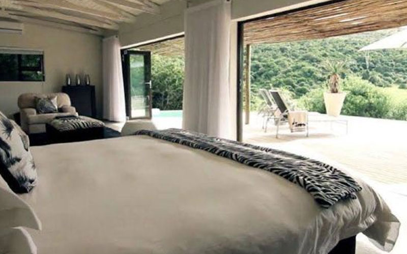 Standard Suites