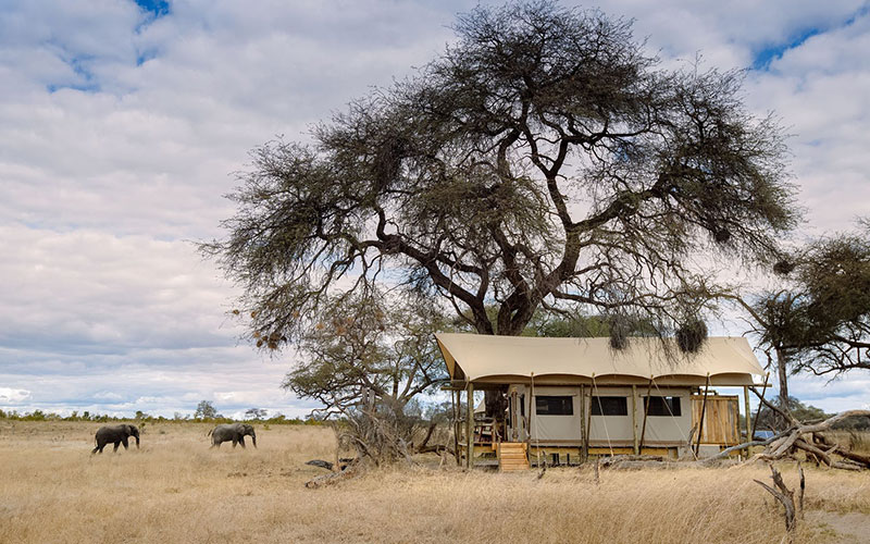 Hwange Bush Camp