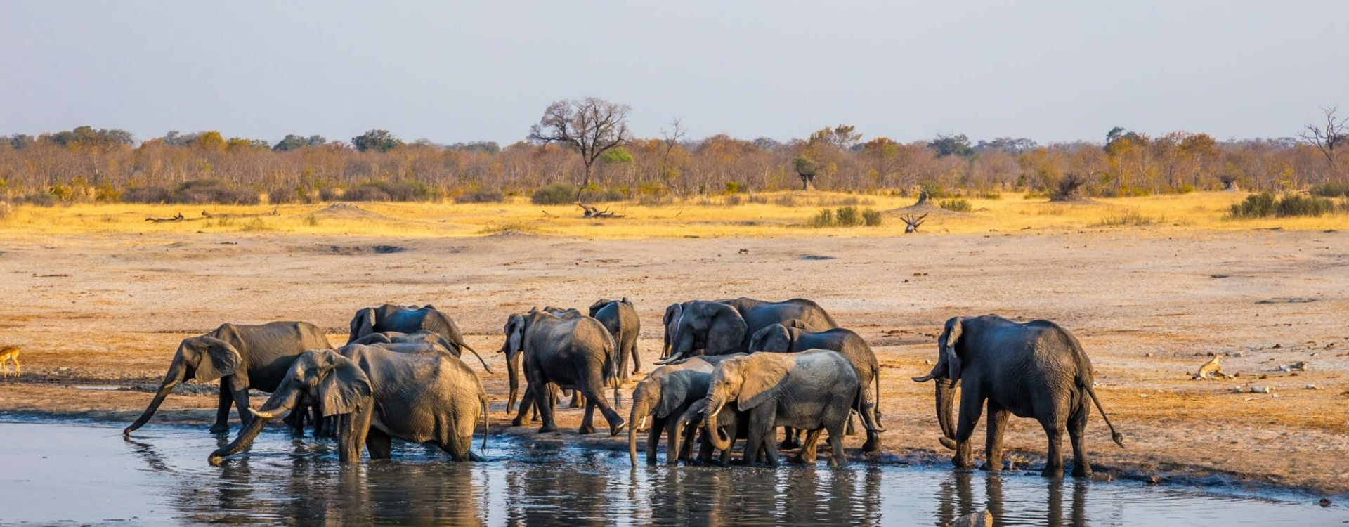 Hwange National Park