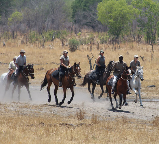 Hwange Horseback Safaris
