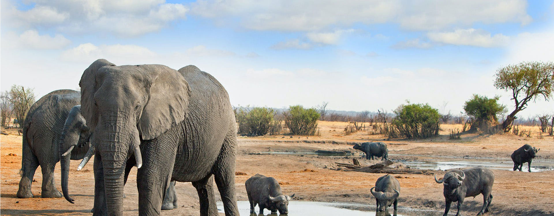 Hwange Safari Lodge