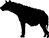 hyena