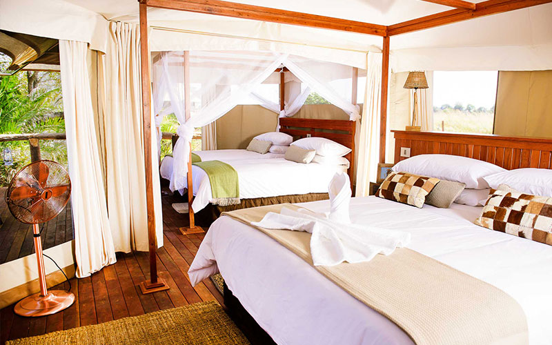Ila Safari Lodge