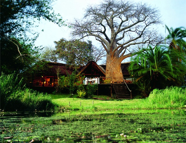 Impalila Island Lodge