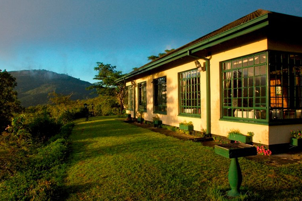Inn On The Vumba